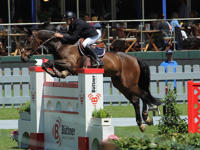 快速传导以 快速传导以