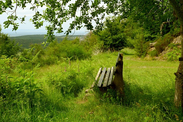 最好的表现 最好的表现