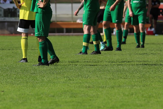 快船队拥有 快船队拥有