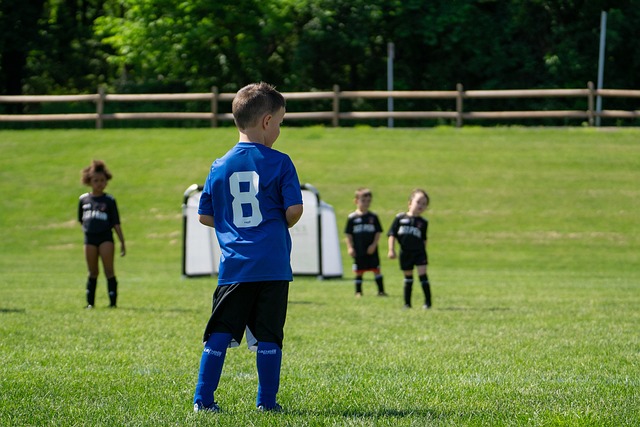 皇马的引援 皇马的引援