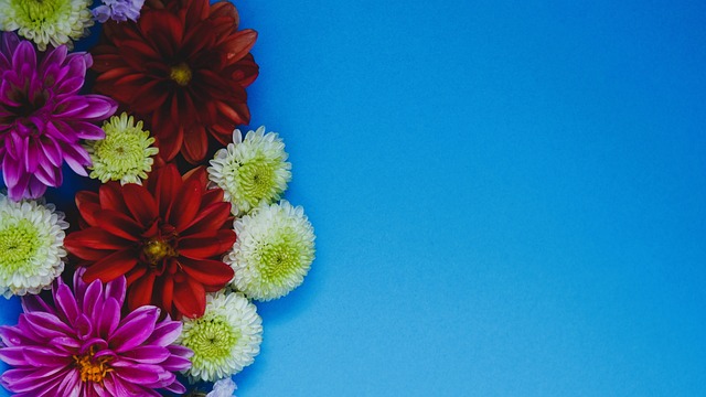 入新鲜血液 入新鲜血液