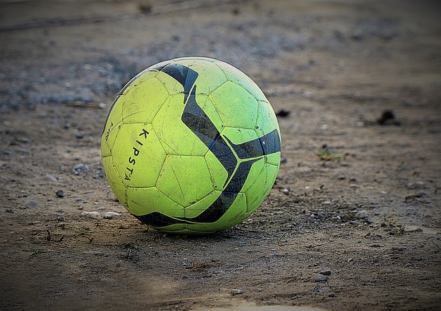 區內積極爭 區內積極爭