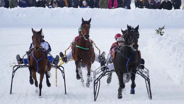 使得罗马队 使得罗马队